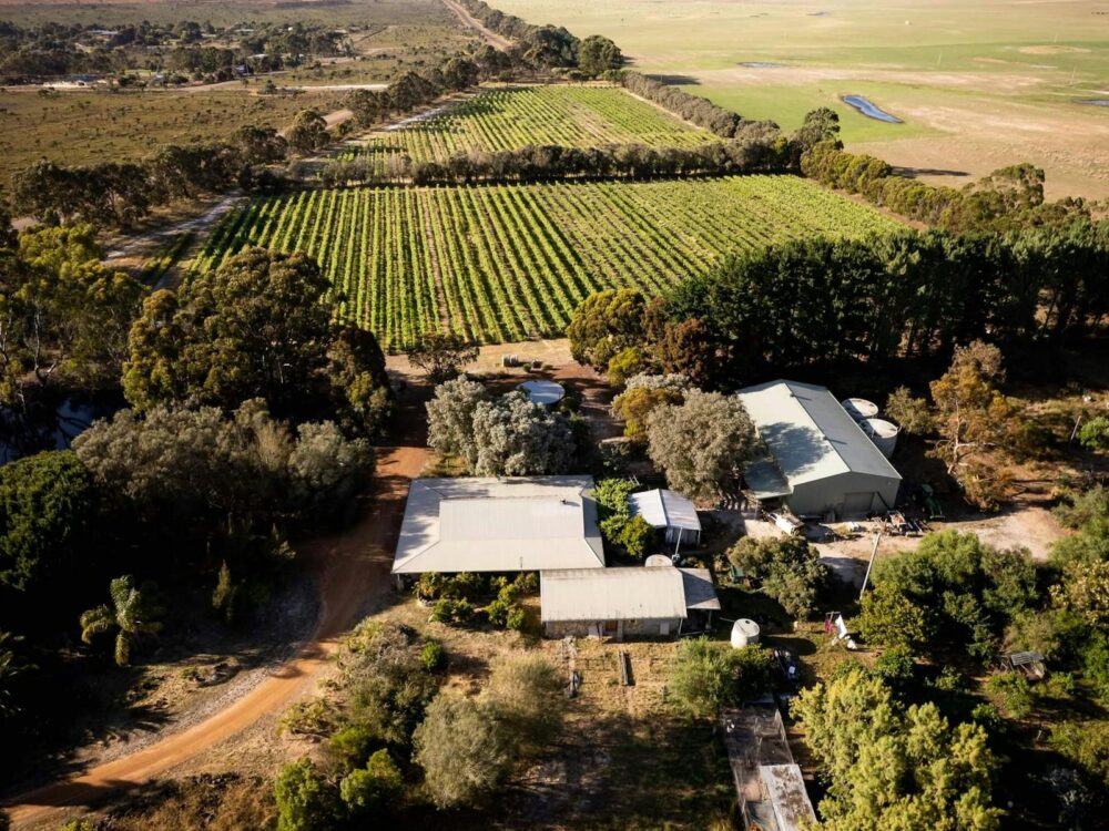 Aerial winery and vineyard