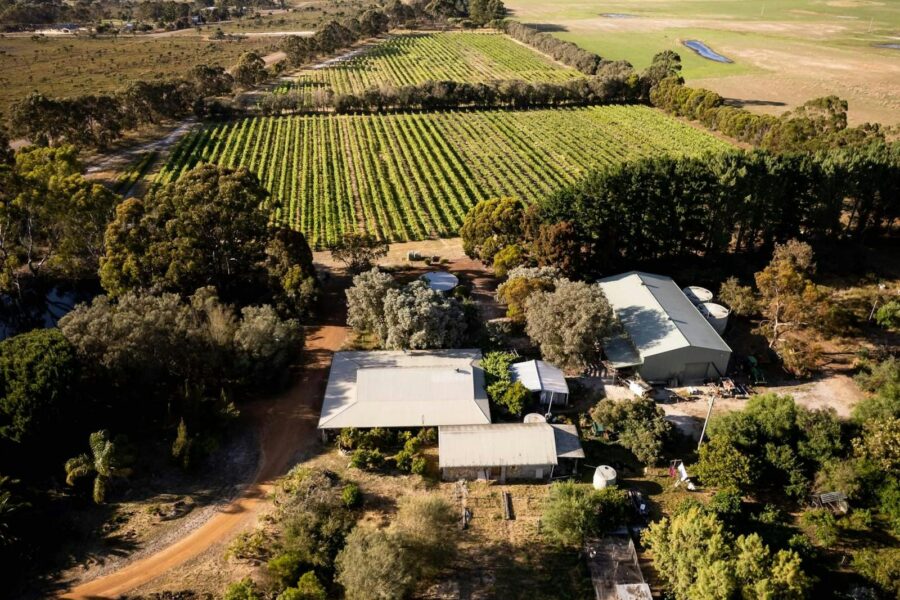 Aerial winery and vineyard