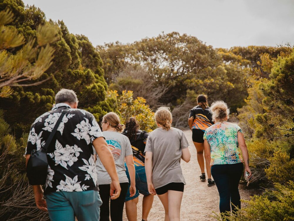 people walking on a walk trail