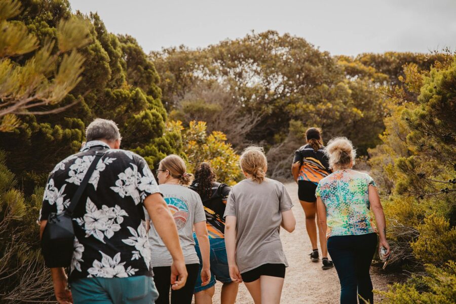 people walking on a walk trail