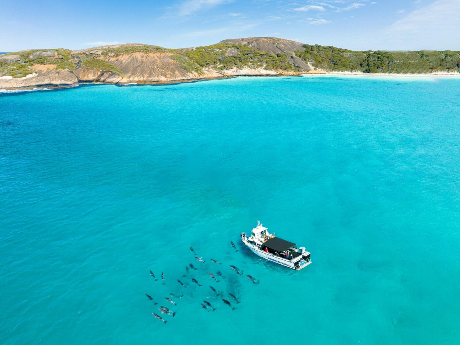 Experience wildlife like never before