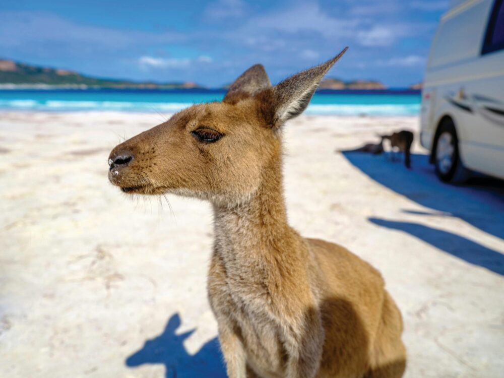 Lucky Bay