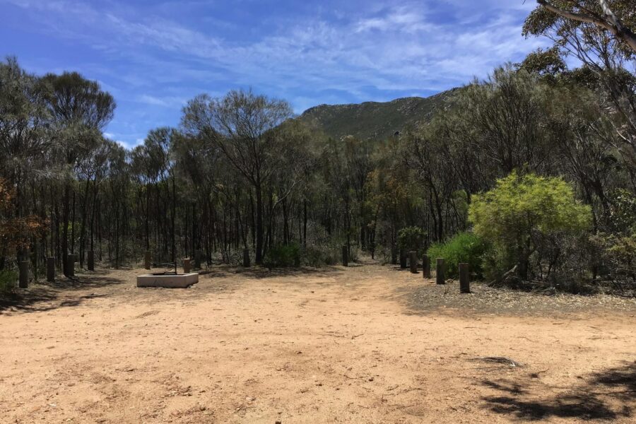 Cleared area for camping.
