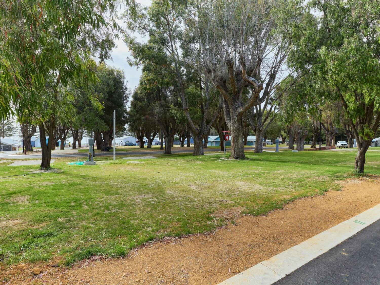 Site