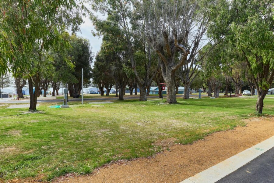 Site
