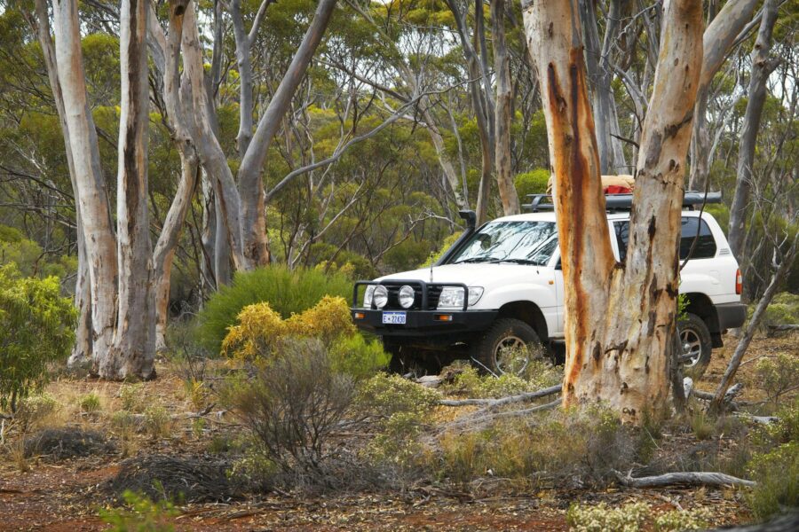 Ravensthorpe Range, Ravensthorpe, Western Australia