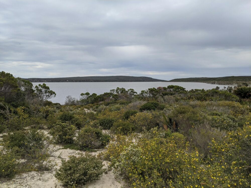 View of bushland and lake.