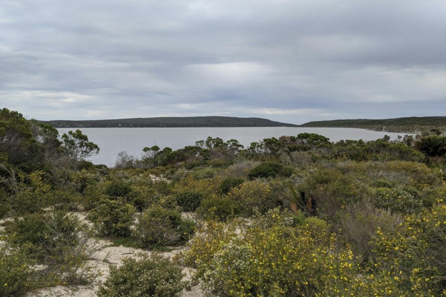 View of bushland and lake.