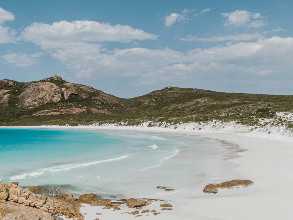 Thistle Cove