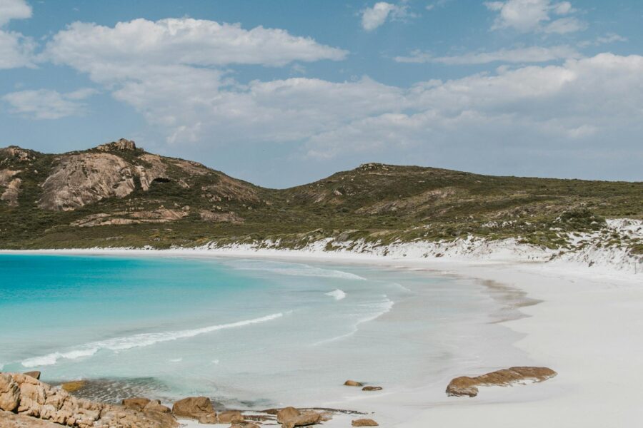 Thistle Cove