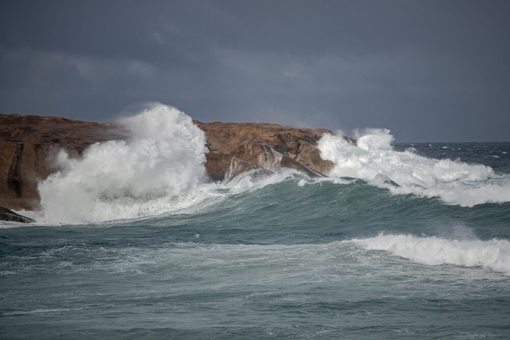 Salmon Beach Dan Paris Dsc 4076