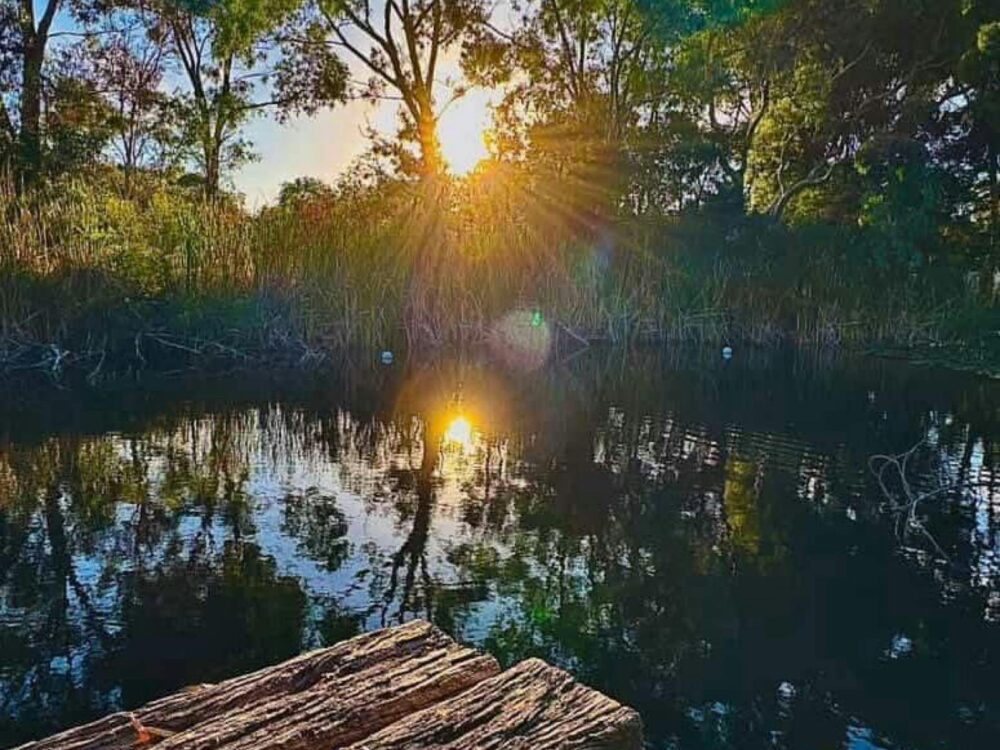 Sunrise