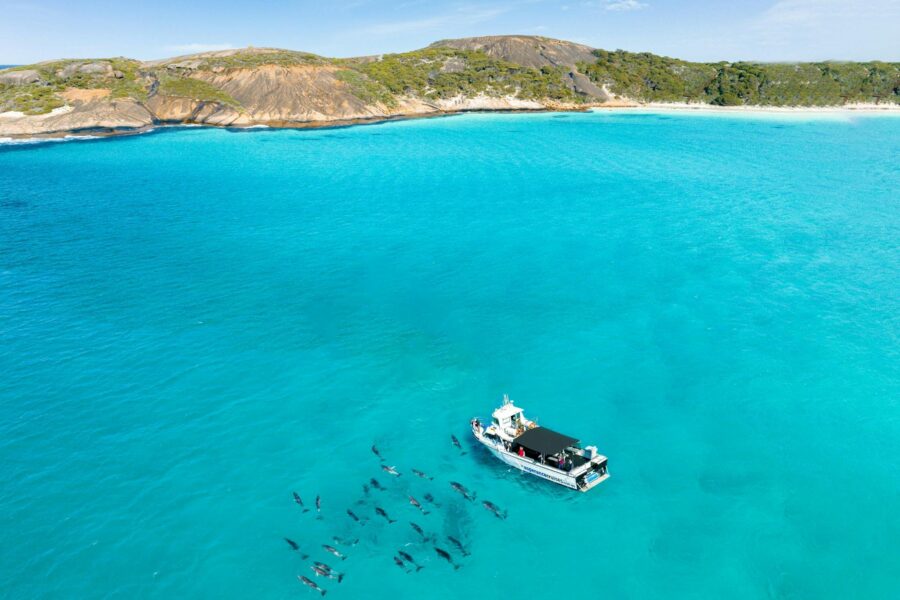 Experience wildlife like never before