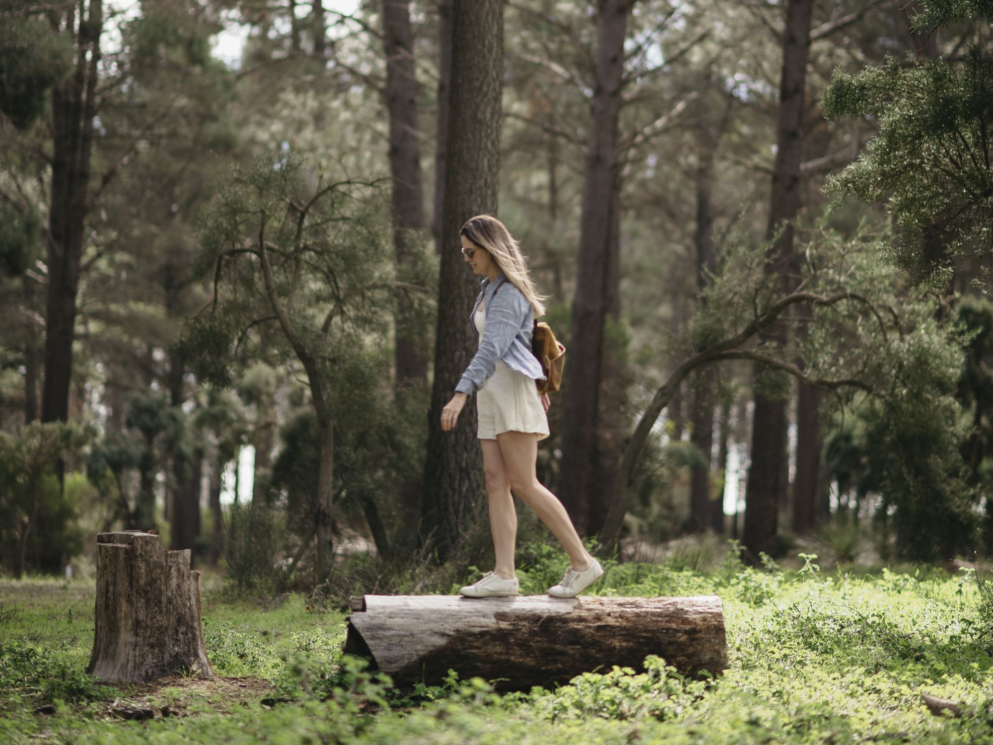 Helms Arboretum